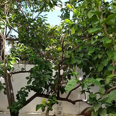 Apartment Studio Lefaki Rethymno (Crete)