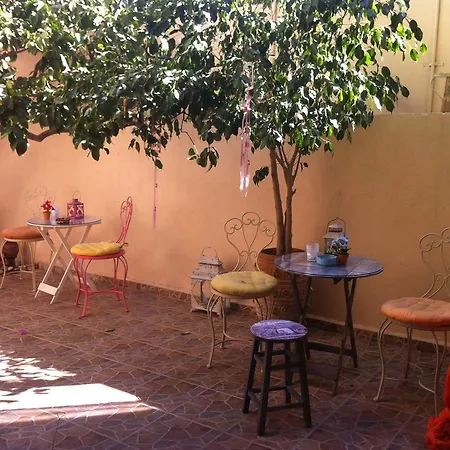 Studio Lefaki *