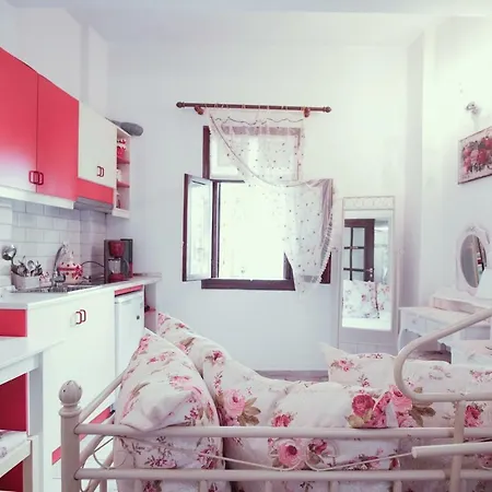 Apartment Studio Lefaki *
